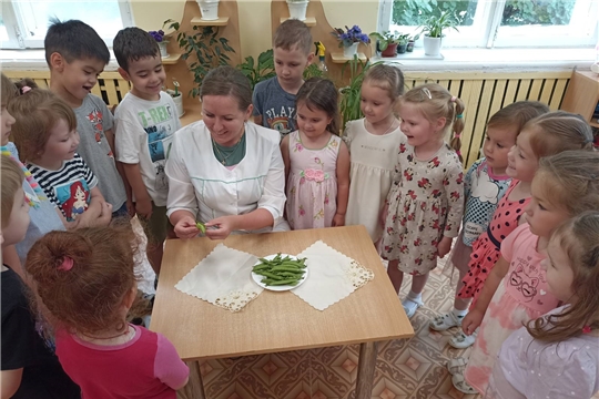 Его величество - Горох