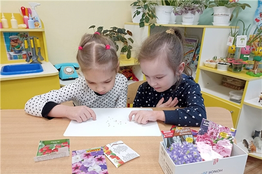 Огород на окошке