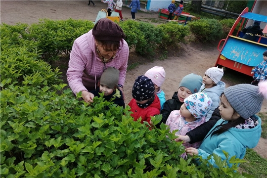 Знакомимся с природой