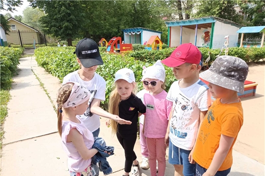 Наблюдения в природе