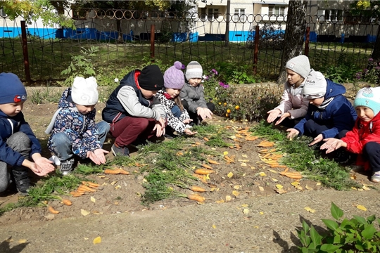 Сбор урожая.