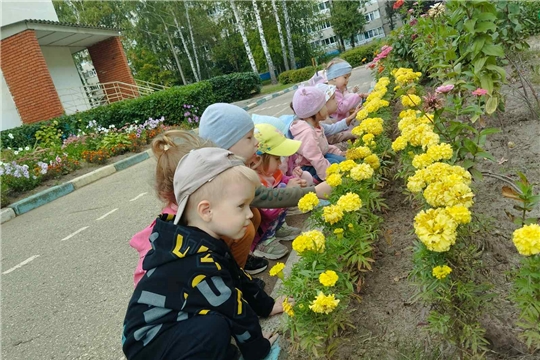 Наблюдение за осенней клумбой