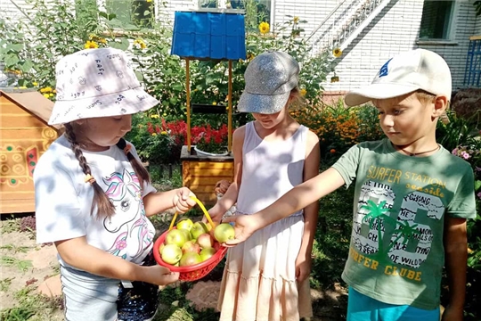 Яблочко сладкое, наливное!