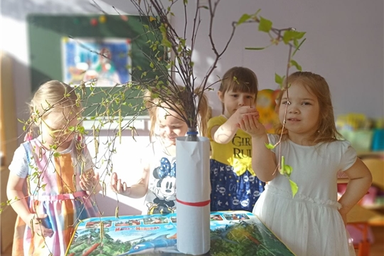 Наблюдение за живой природой