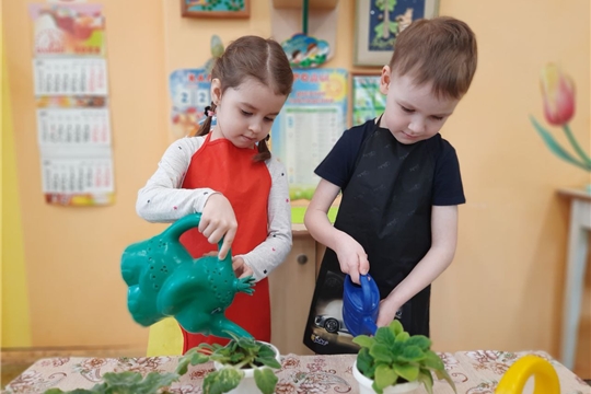 Социально - патриотическая акция «Цветок ветерану».
