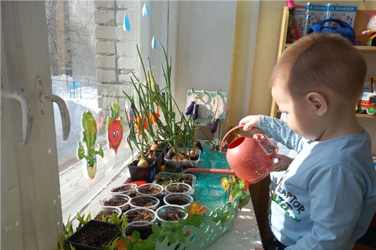 Огород на подоконнике