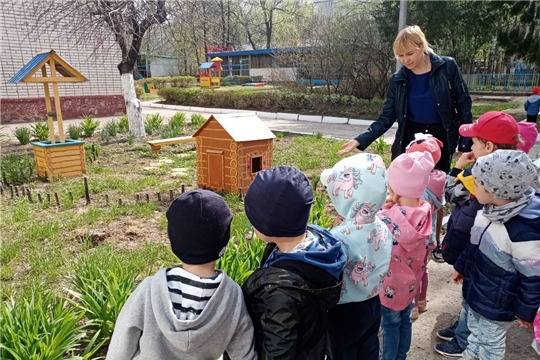 Познавательный час "Береги природу" в группе "Звездочки"