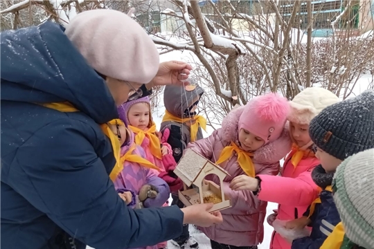 Акция "Покормите птиц зимой"