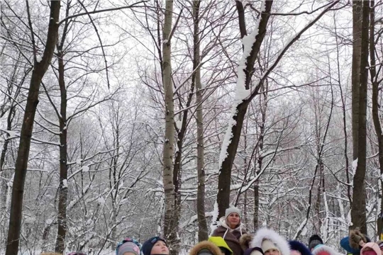В "объятиях" зимнего леса!