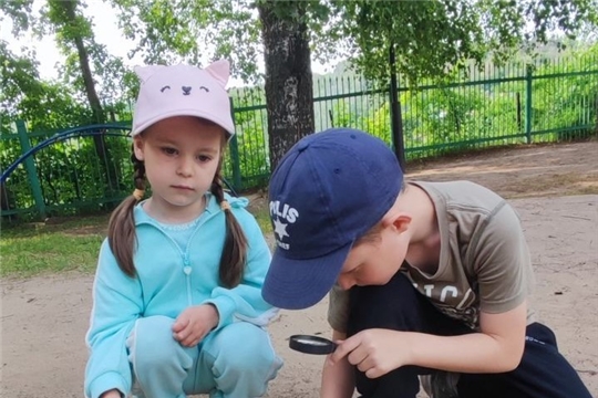 Опасные насекомые