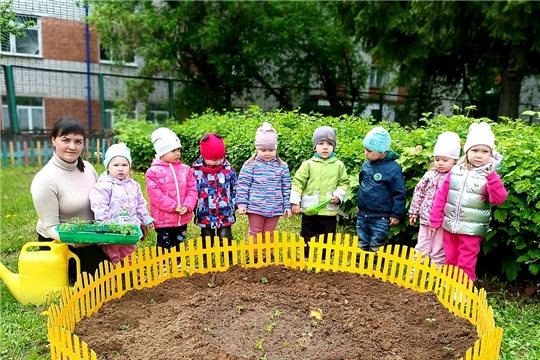 Сажаем огород