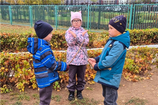 Правила поведения на прогулке