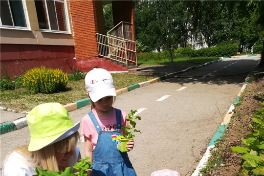 «Правила безопасности при работе на цветнике».