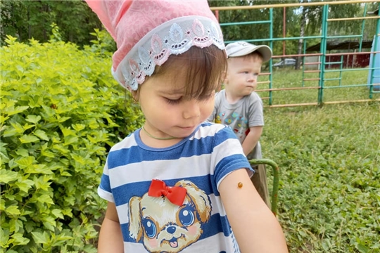 "Наблюдение за божьей коровкой".