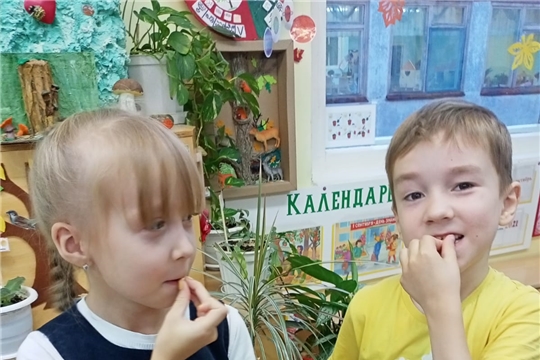 «Кукуруза – царица полей».