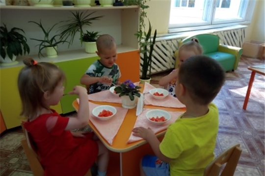 Салаты в летнем меню