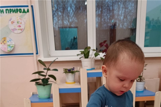 Волшебные салфетки