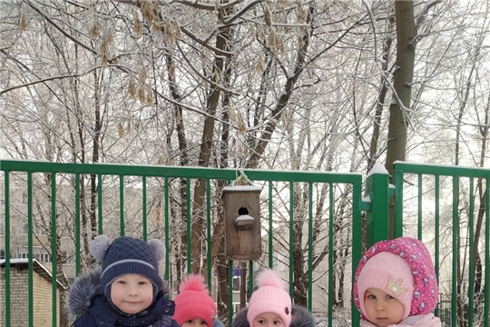 Наблюдение за птицами