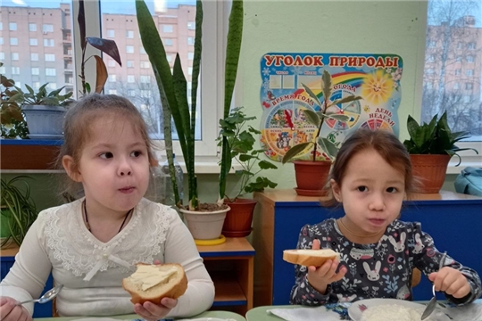 Здоровое питание