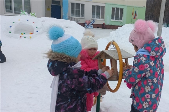"Забота о птицах"