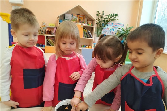 Посадка лука в детском саду