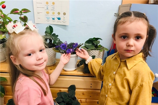 «Наблюдение за комнатными растениями»