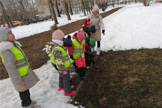 Весеннее пробуждение природы