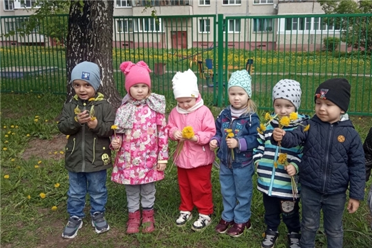 Наблюдение за одуванчиками