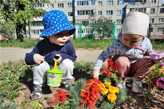 Собираем семена.