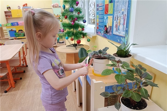 Уход за комнатными растениями.