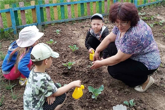 Огород в детском саду
