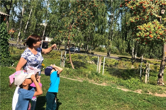 Наблюдение за облаками