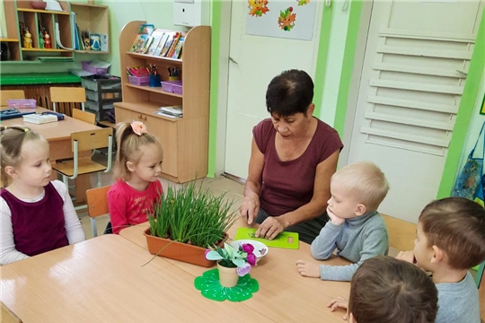 «Здоровые дети – счастливые родители» 