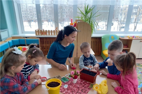 "Огород на подоконнике"