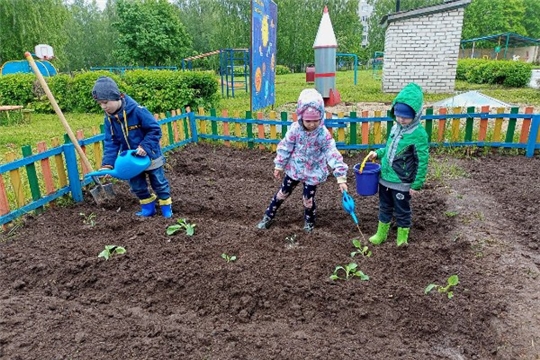 Иванов день