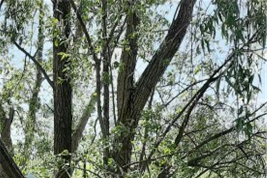 "Первый раз пришел на пляж"(соблюдение правил безопасного пребывания на водоеме)