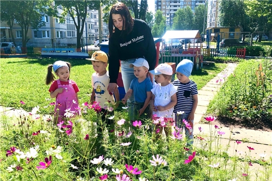 Наблюдение за цветами