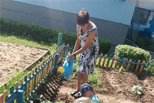 Огород в детском саду