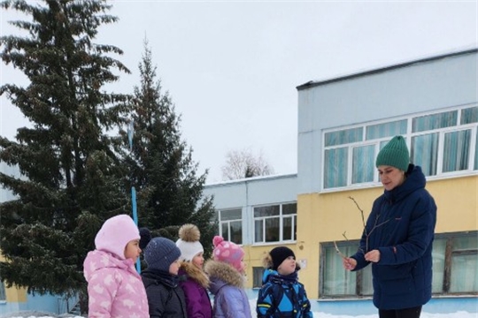 Правила безопасного поведения в зимний период
