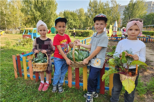 Собираем урожай