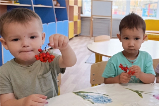 Веточка рябины