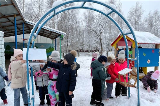 Заботимся о птицах 