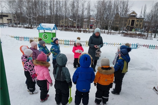 Забота о птицах в зимний период