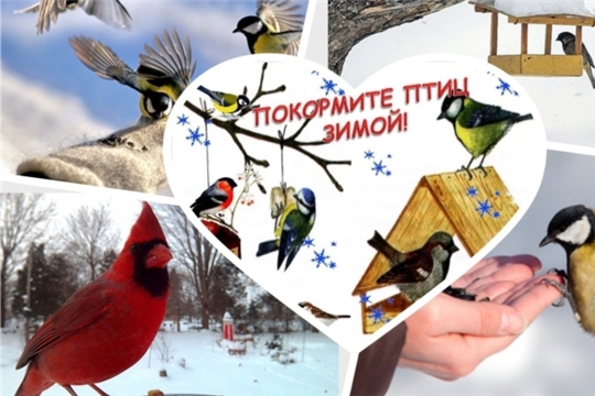 Республиканский детский экологический конкурс «Покорми птиц зимой – они послужат тебе весной»
