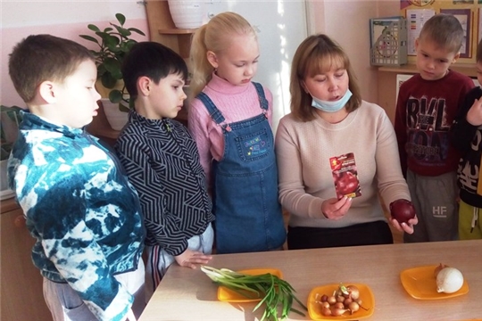 Лук – мой лучший друг.