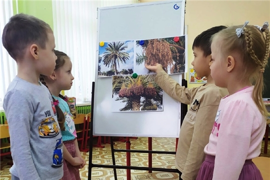 «Что такое финики и чем они полезны?»