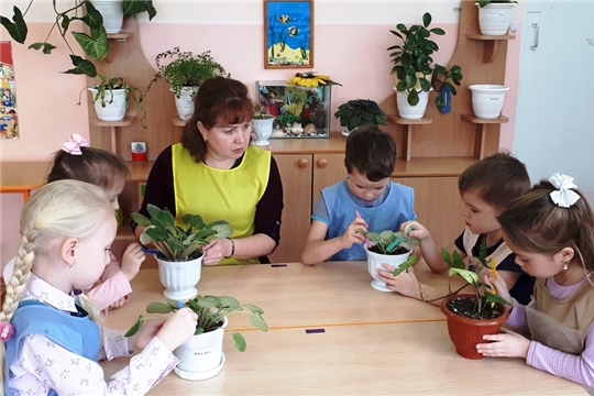 Профориентация дошкольников  или знакомство с профессией – Цветовод.