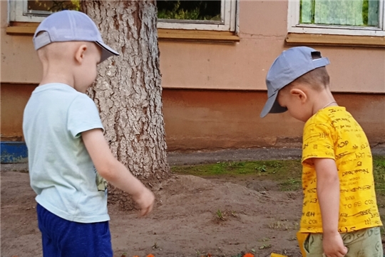 Посадили мы цветы, чтоб было больше красоты!