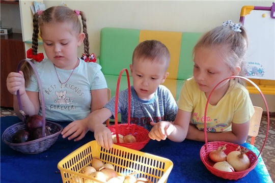 Лук, лучок, золотой бочок.