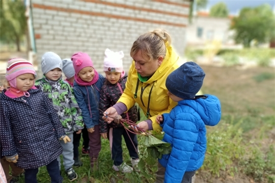 Витамины с грядки.